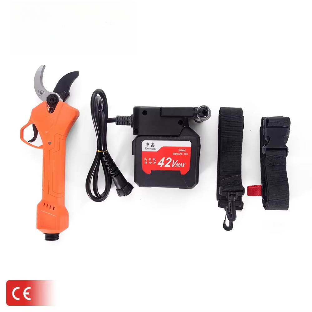 Hot Sale 42V Bodypack Electric - Power Tools Battery review and price